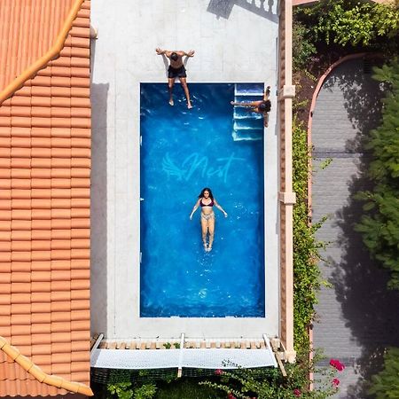 Duque Nest Hostel Адехе Екстериор снимка